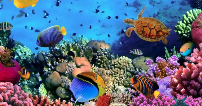 FP_S1_Hkm.PIK_Heni&amp;Desy_Ganjil 21/22