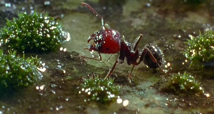 Attachment IMG_20210903_082937.jpg