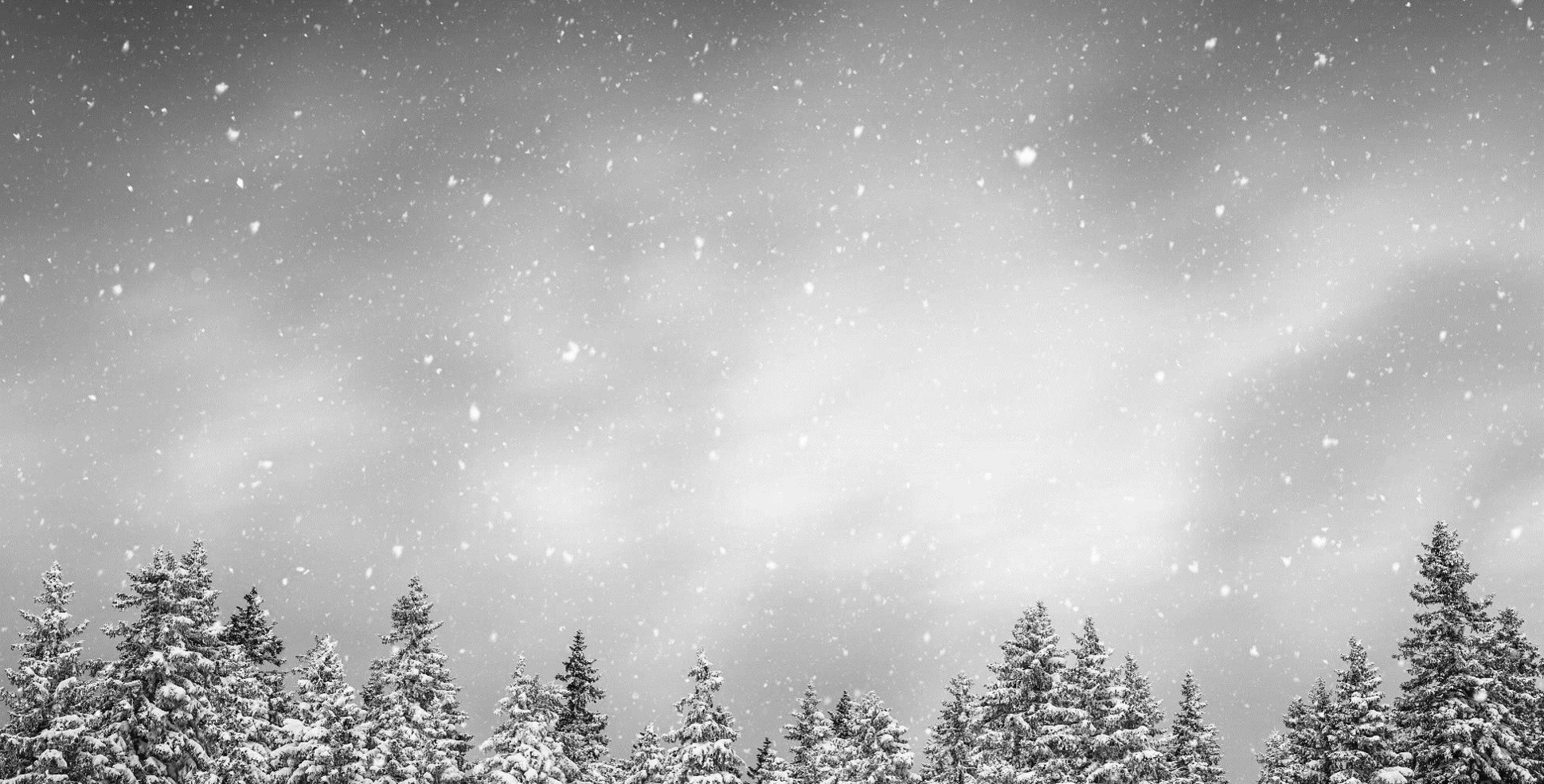 HI-Community Development 2021