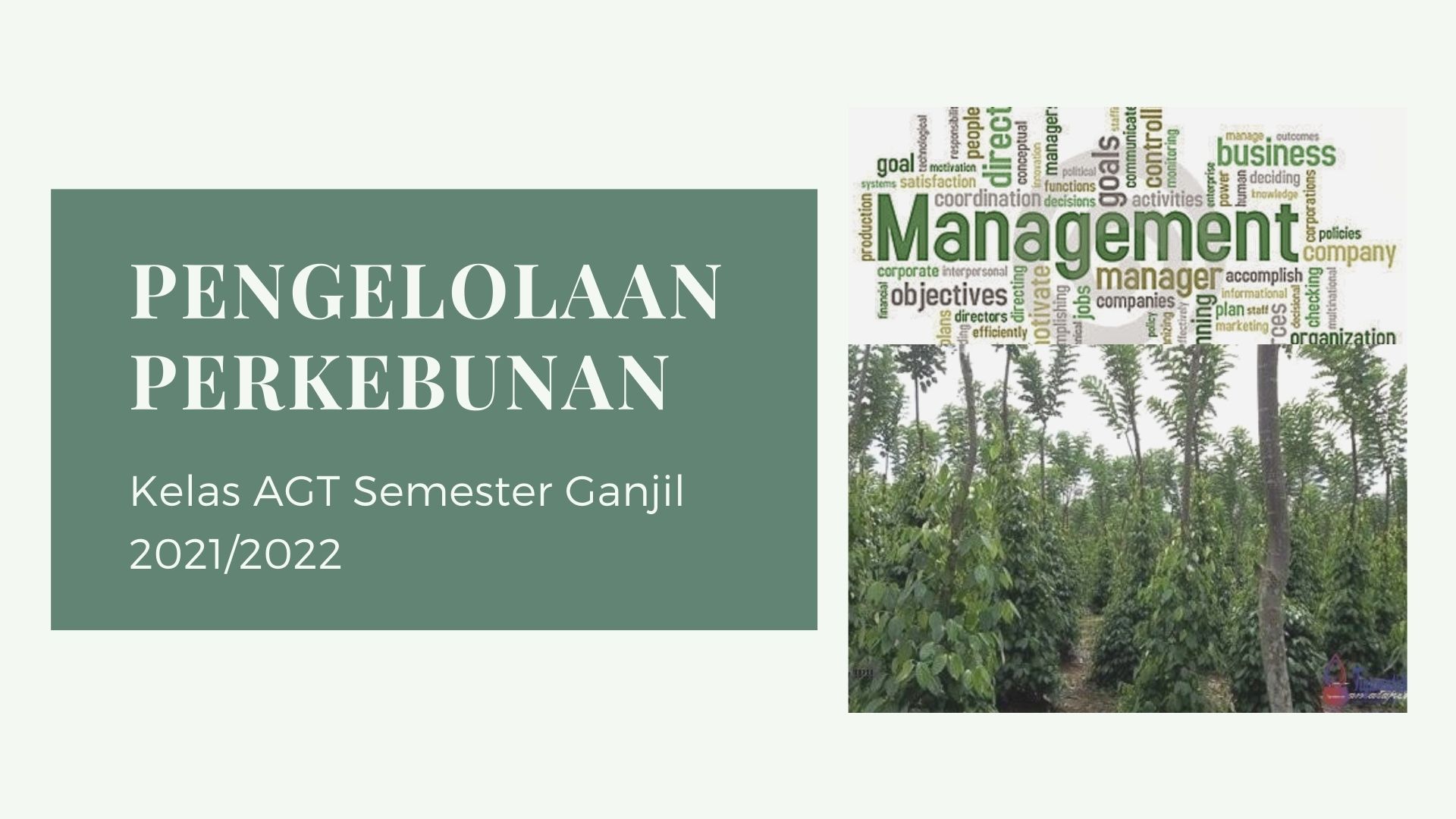 PENGELOLAAN PERKEBUNAN KELAS AGT SEMESTER GANJIL 2021/2022