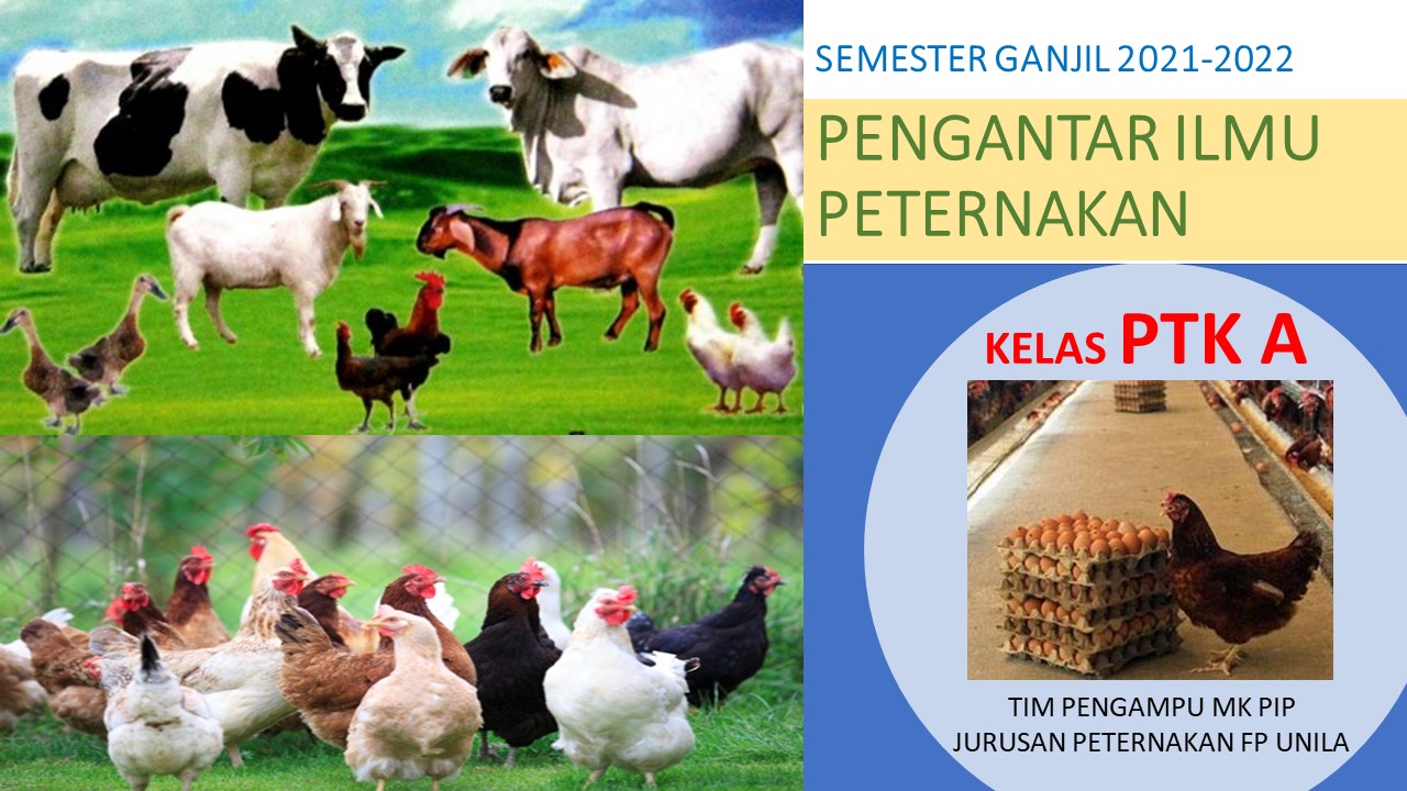 PTK_PENG. ILMU PETERNAKAN_KLS A_GANJIL_2021-2022