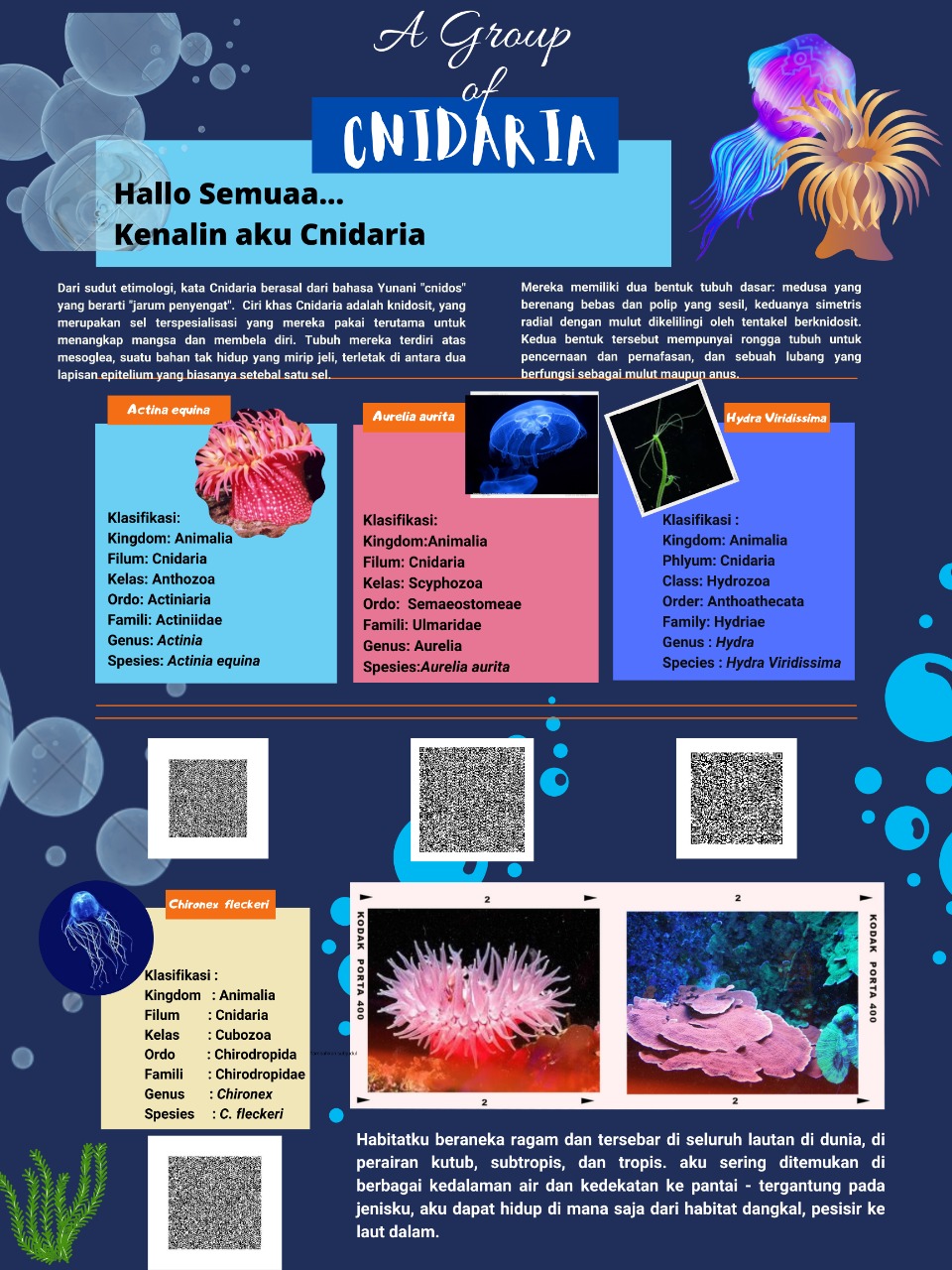 Attachment Poster Cnidaria Kelompok 7A.jpeg