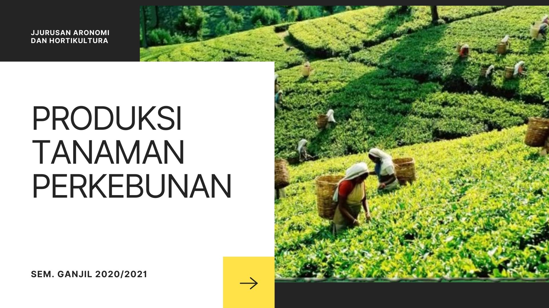 Produksi Tanaman Perkebunan Ganjil 2020/2021 KELAS AGH