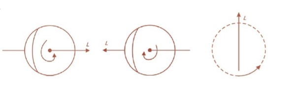 Attachment Screenshot_20211122-210810_Chrome.jpg