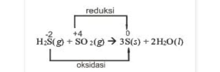 contoh