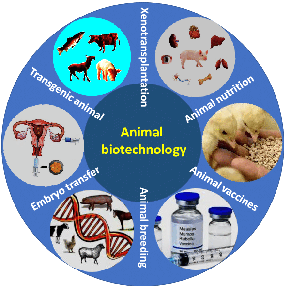 BIT Bioteknologi Hewan 2022 (ELW/GDP/DFM)