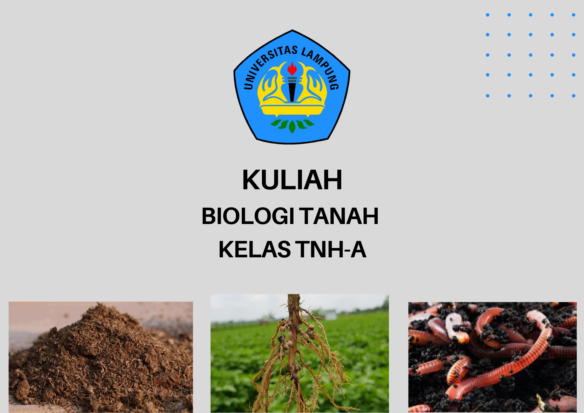 2021-2 Biologi Tanah Kelas TNH-A
