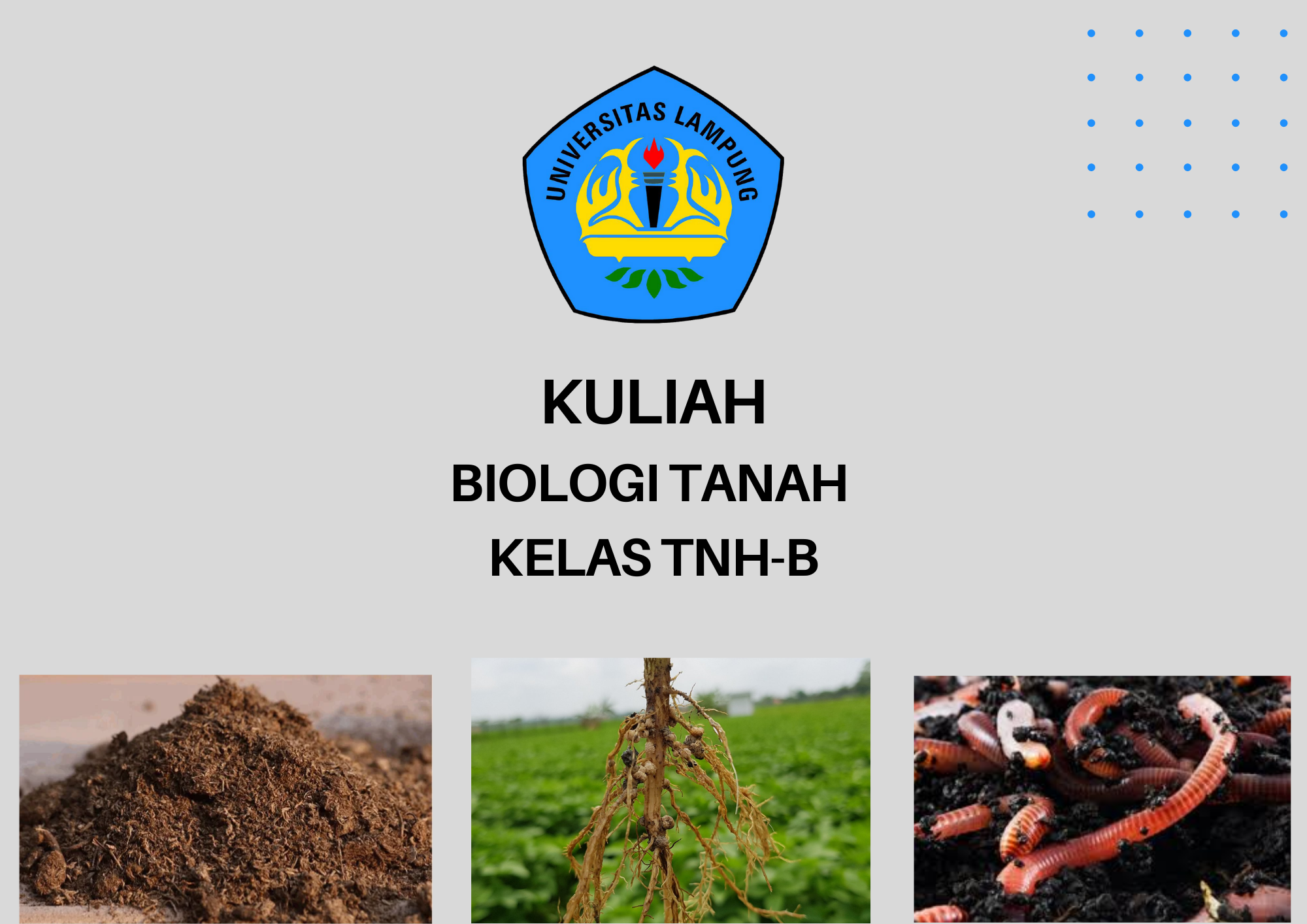 2021-2 Biologi Tanah Kelas TNH-B