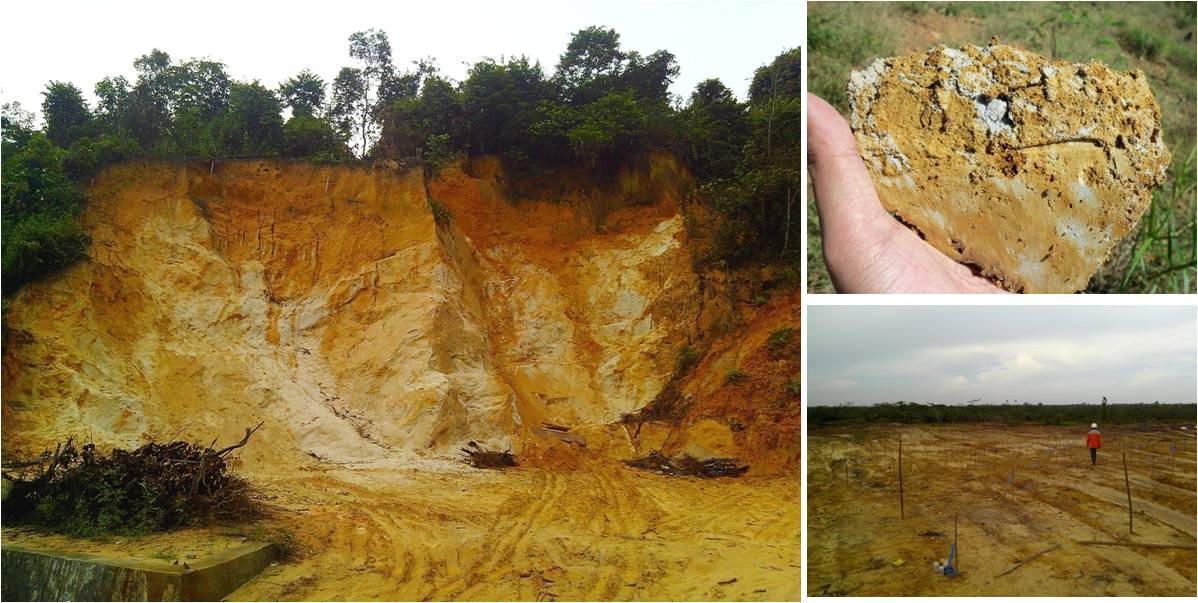 FP_DDIT_KELAS PTN_GENAP 2021/2022 