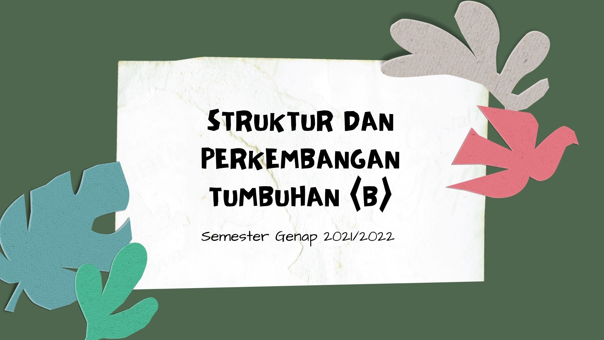 PSPB_Struktur dan Perkembangan Tumbuhan_Kelas B_Genap 2021/2022