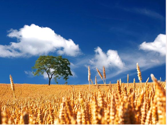 Klimatologi Pertanian AGT klas A