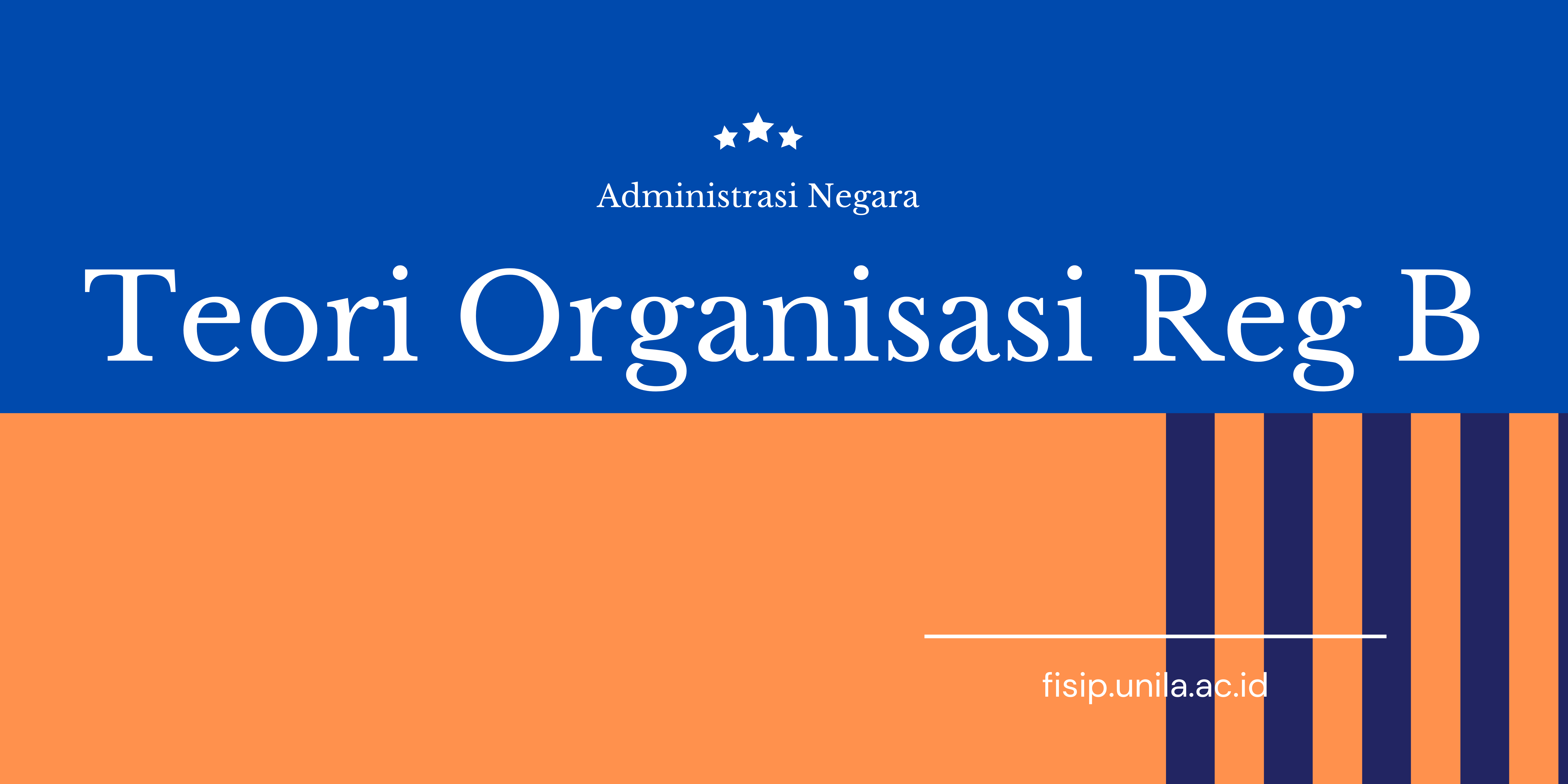Teori Organisasi Reg B