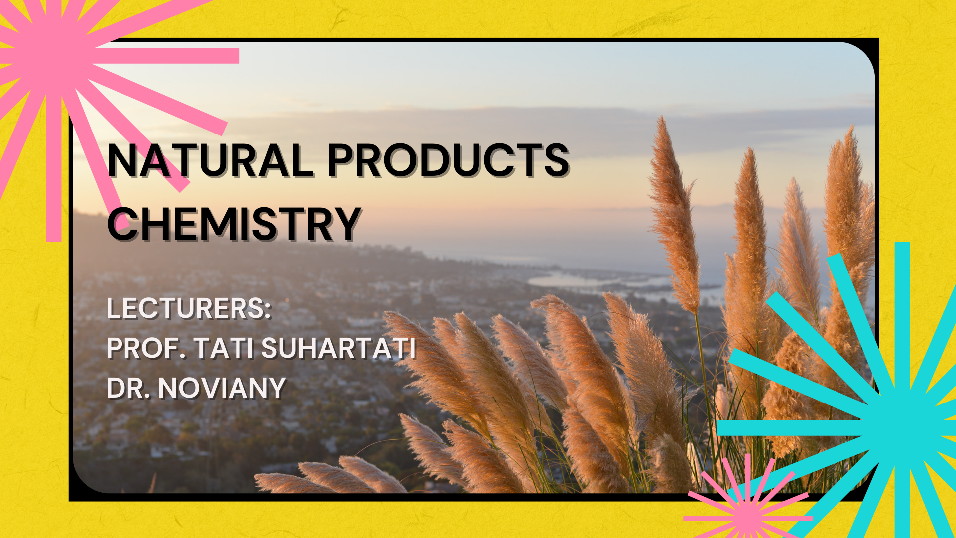Kimia Organik Bahan Alam S1 Kimia, Genap 2021/2022