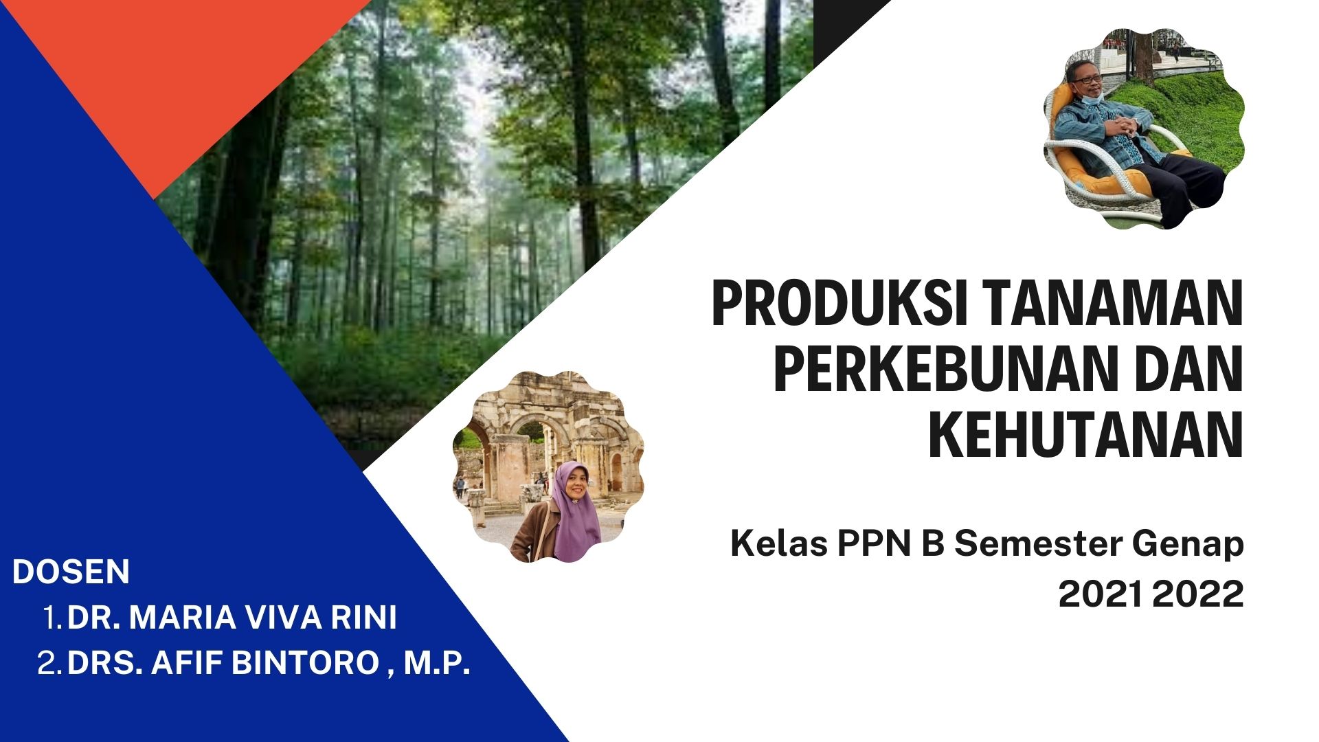 PRODUKSI TANAMAN PERKEBUNAN DAN KEHUTANAN KELAS PPN B