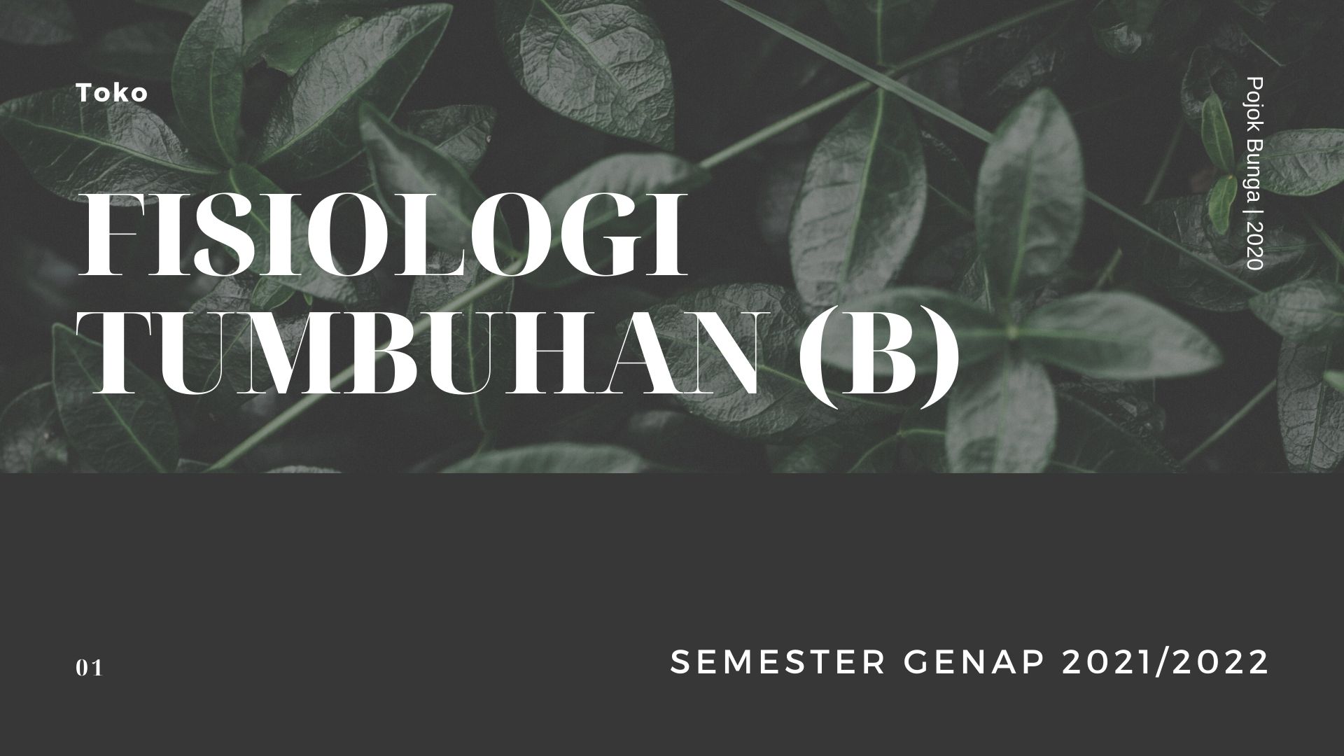 PSPB_Fisiologi Tumbuhan_Kelas B_Genap_2021/2002