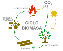 Energi Biomassa MSN616314 Kelas B