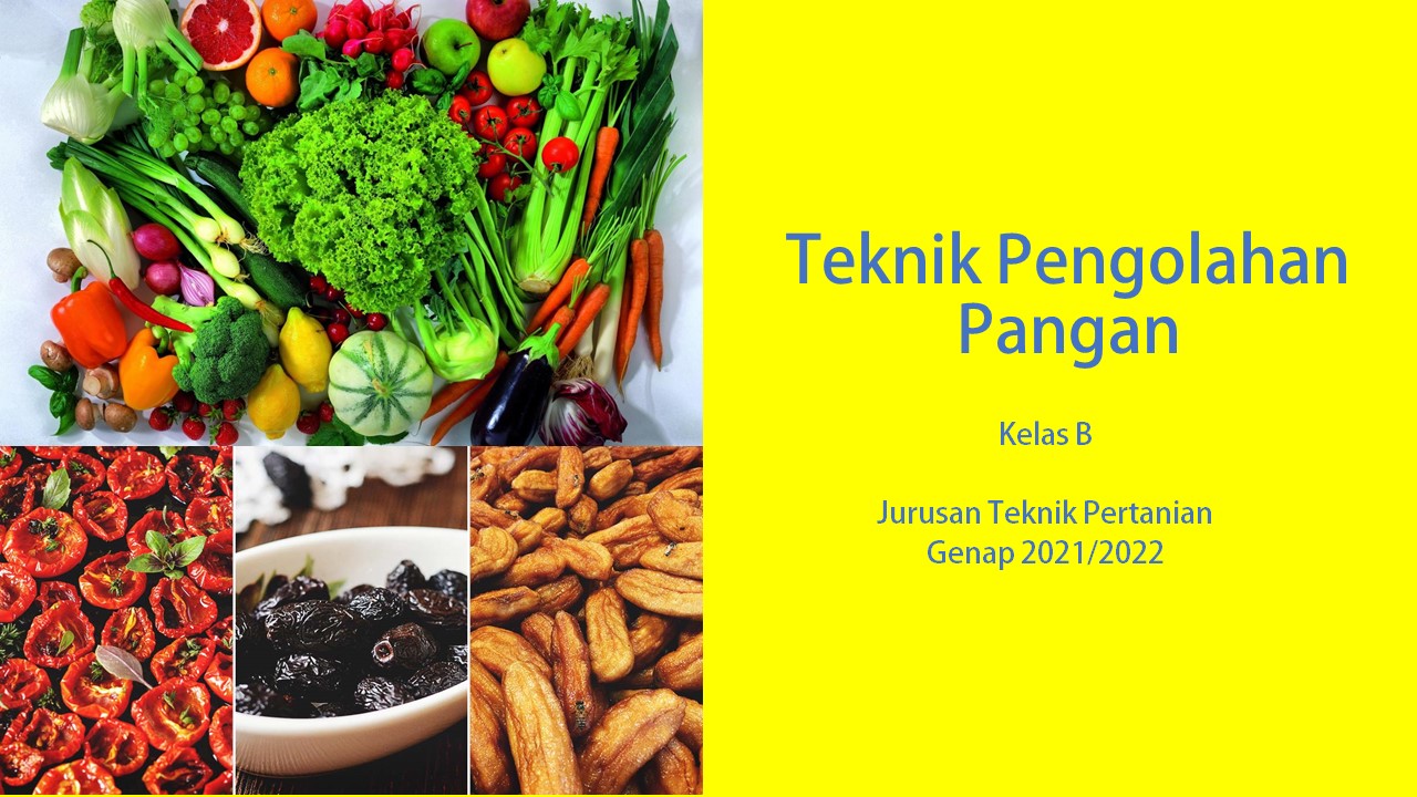 TEKNIK PENGOLAHAN PANGAN KELAS B