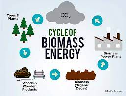 Energi Biomassa MSN616314 Kelas A