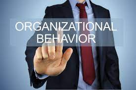MGT International ; Advance Organizational Behavior; Genap 2021/2022
