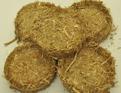 DASAR TEKNOLOGI PAKAN