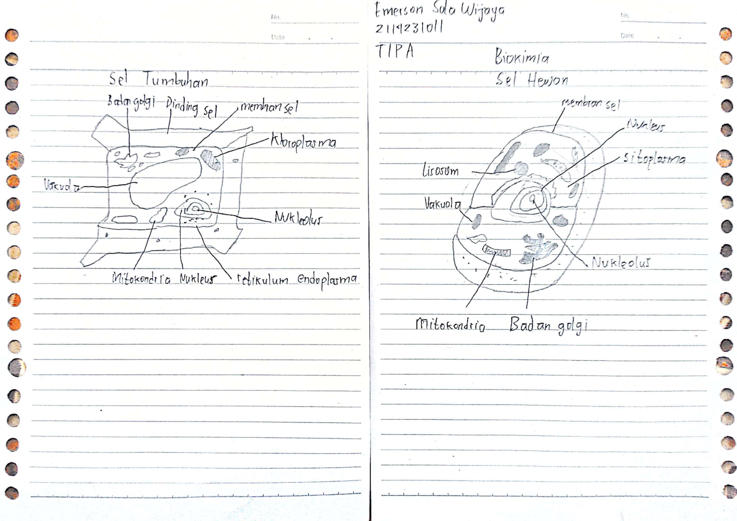 Attachment Emerson Suta Wijaya_2114231011_TIP A.jpg