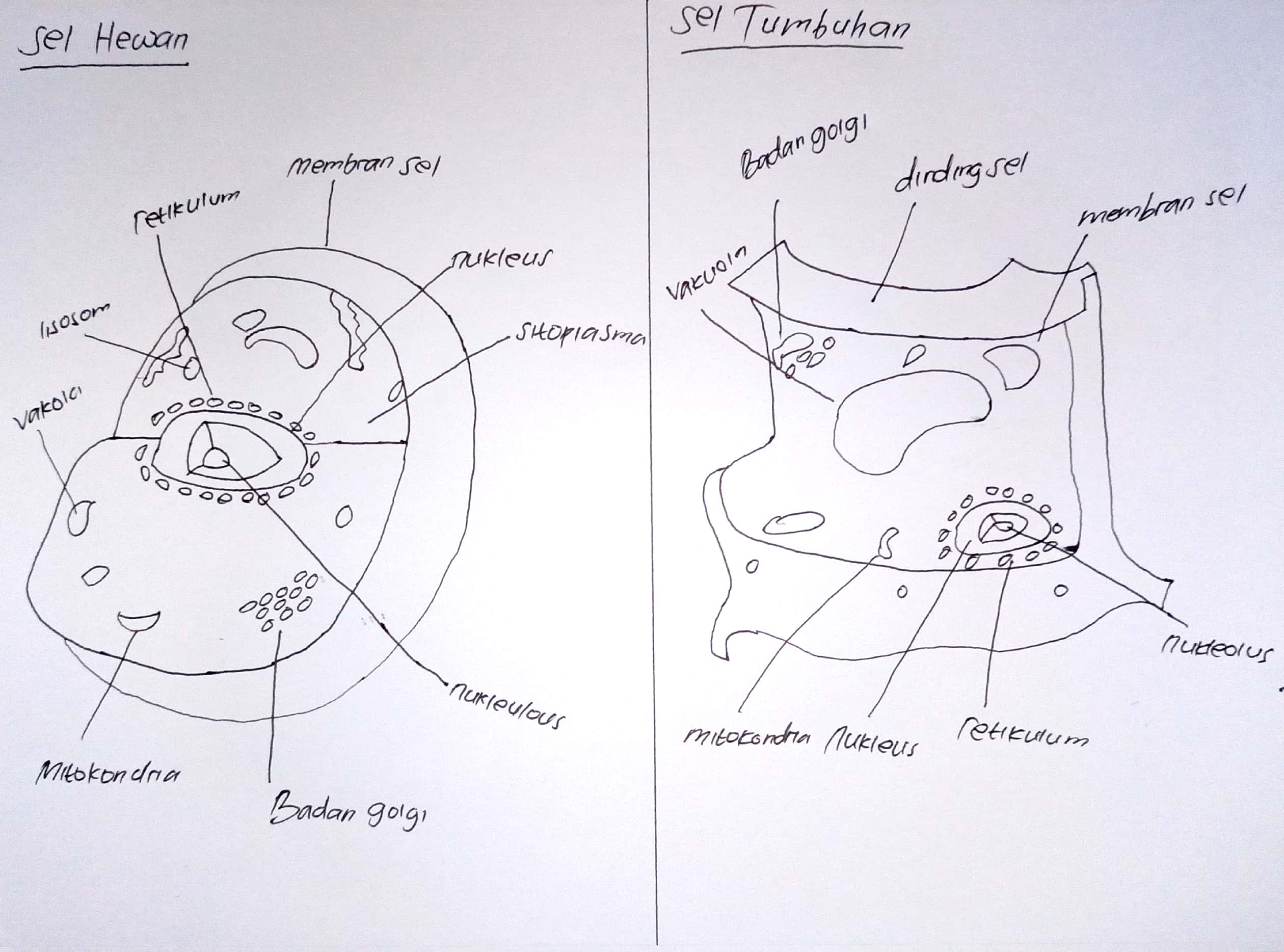 Attachment CamScanner 02-23-2022 14.47.jpg