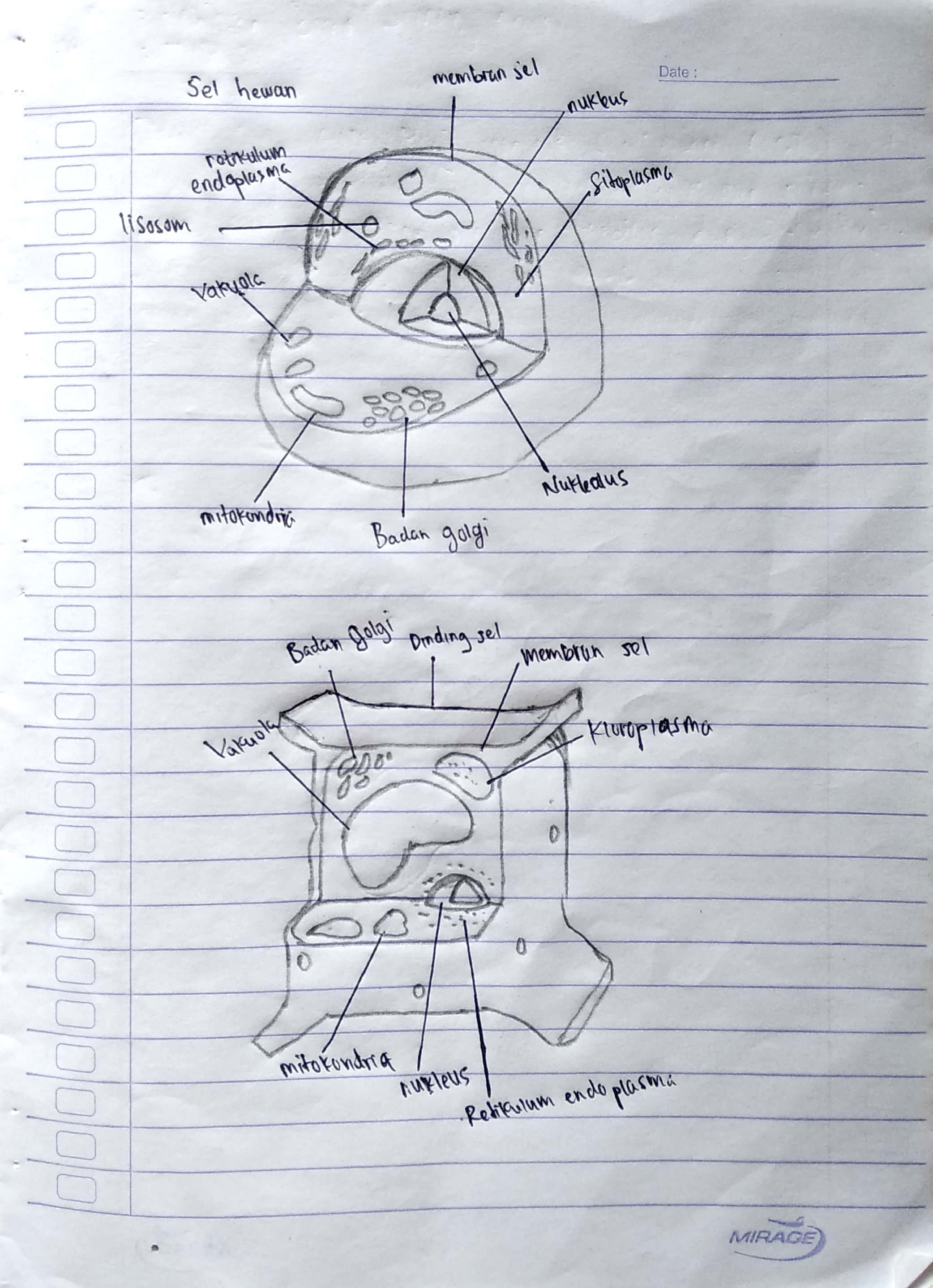 Attachment Robinson Simanjuntak_2114231039_1(2).jpg