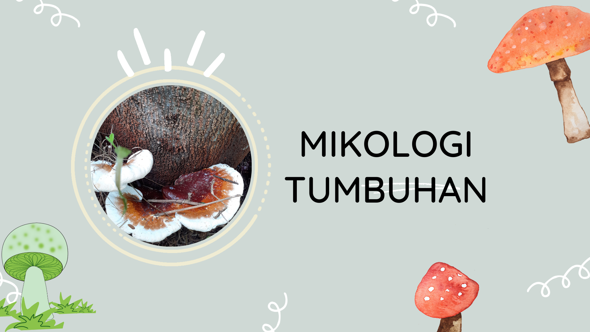 FP S1 PTN_Mikologi Tumbuhan 2022