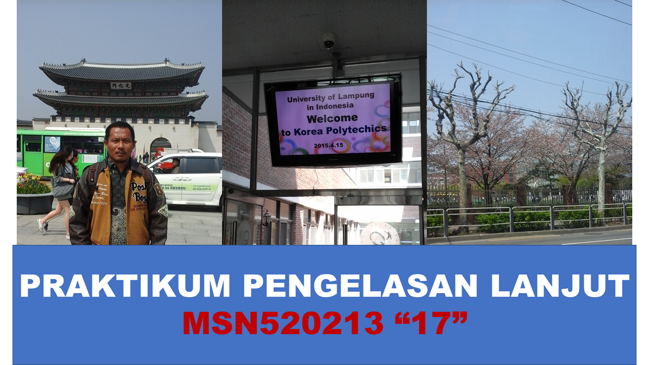 MSN517213 - PRAKTIK PENGELASAN LANJUT (PPL17)