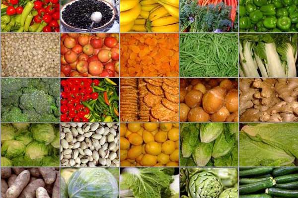 AGR_Produksi Tanaman Hortikultura (Kelas B)